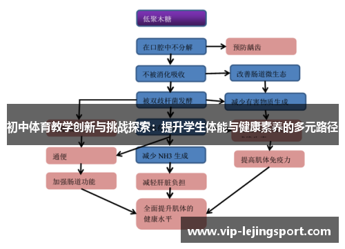 初中体育教学创新与挑战探索：提升学生体能与健康素养的多元路径