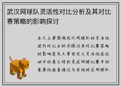 武汉网球队灵活性对比分析及其对比赛策略的影响探讨